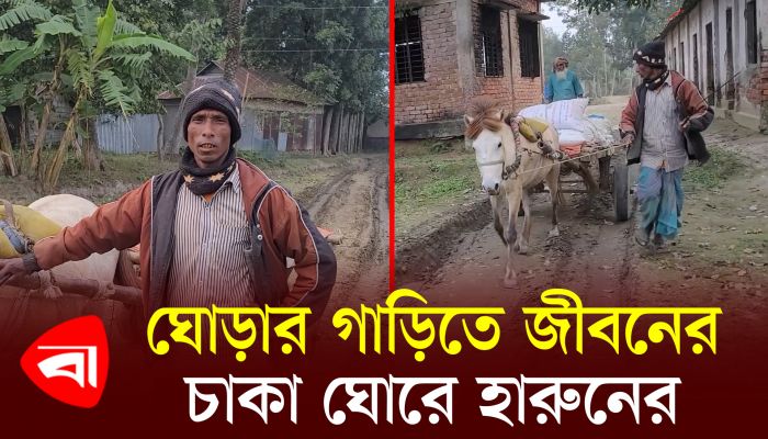 ঘোড়ার গাড়িতে জীবনের চাকা ঘোরে হারুনের