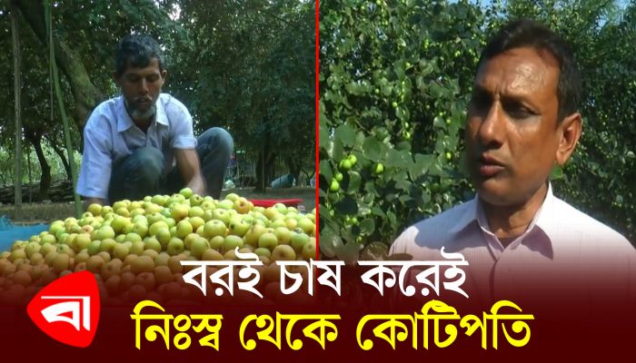 টক বরই চাষ করে নিঃস্ব থেকে কোটিপতি সিদ্দিক