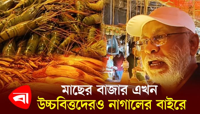 মাছের বাজার এখন উচ্চবিত্তদেরও নাগালের বাইরে