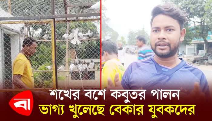 শখের বশে কবুতর পালন, স্বাবলম্বী শতাধিক যুবক