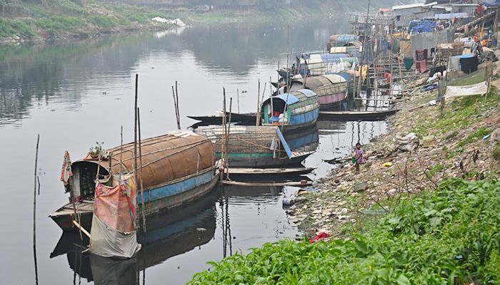 জলে ভাসা জীবন