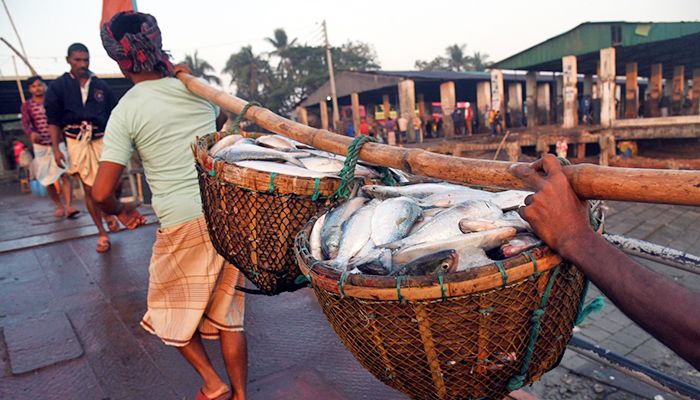 মৎস্য অবতরণ কেন্দ্র কক্সবাজার ফিশারি ঘাট
