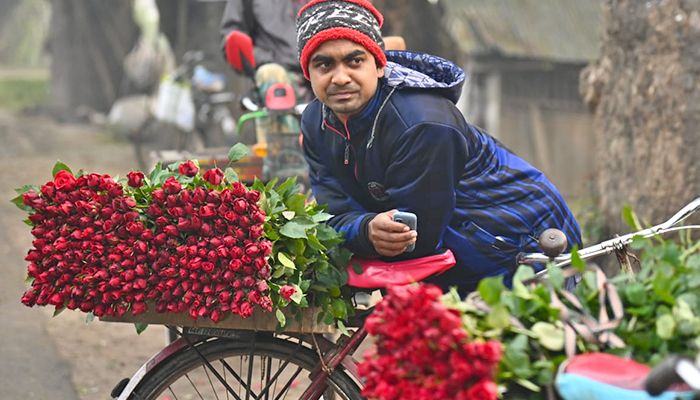 ভালোবাসা দিবস ঘিরে জমজমাট গদখালী ফুলবাজার