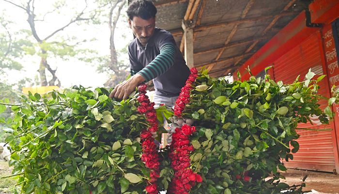 ভালোবাসা দিবস ঘিরে জমজমাট গদখালী ফুলবাজার
