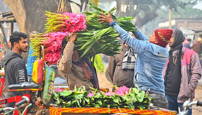 ভালোবাসা দিবস ঘিরে জমজমাট গদখালী ফুলবাজার