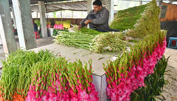 ভালোবাসা দিবস ঘিরে জমজমাট গদখালী ফুলবাজার