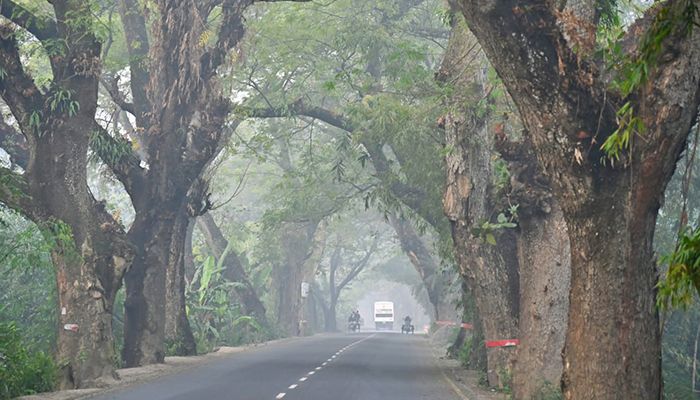 স্মৃতিবিজড়িত যশোর রোড