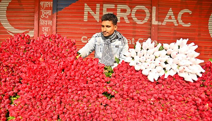 ভালোবাসা দিবস ঘিরে জমজমাট গদখালী ফুলবাজার