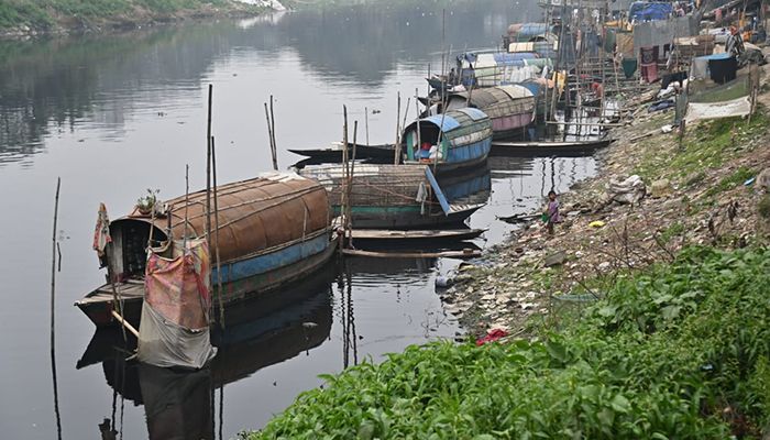 জলে ভাসা জীবন