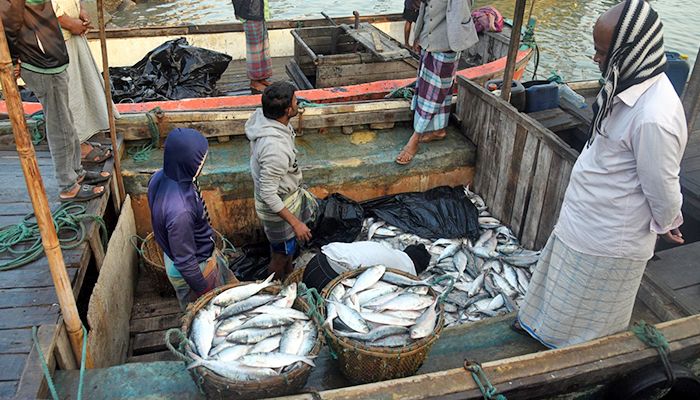 মৎস্য অবতরণ কেন্দ্র কক্সবাজার ফিশারি ঘাট