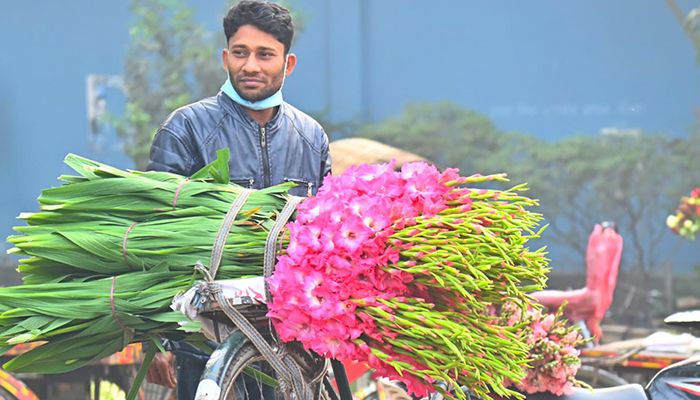ভালোবাসা দিবস ঘিরে জমজমাট গদখালী ফুলবাজার