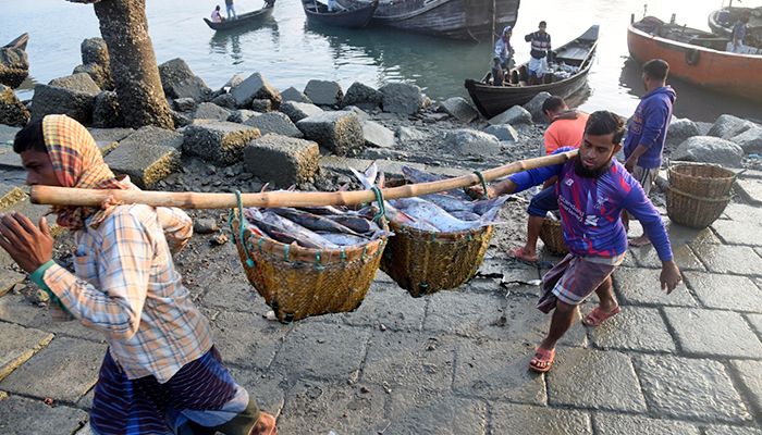 মৎস্য অবতরণ কেন্দ্র কক্সবাজার ফিশারি ঘাট