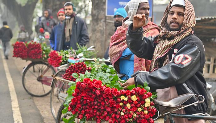 ভালোবাসা দিবস ঘিরে জমজমাট গদখালী ফুলবাজার