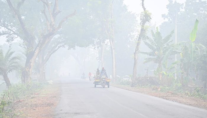 স্মৃতিবিজড়িত যশোর রোড