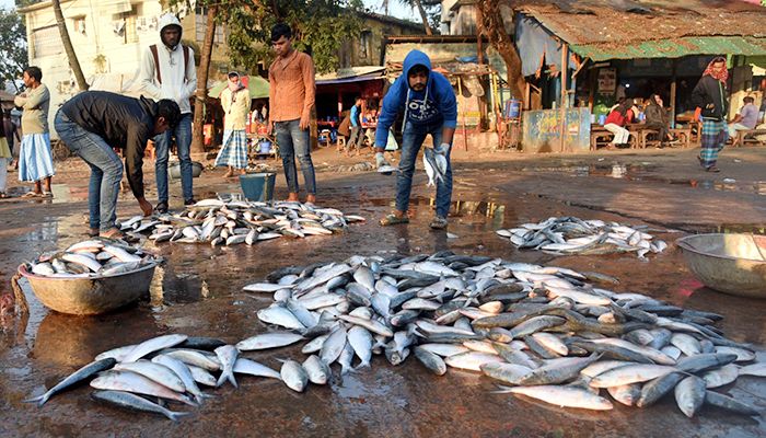 মৎস্য অবতরণ কেন্দ্র কক্সবাজার ফিশারি ঘাট
