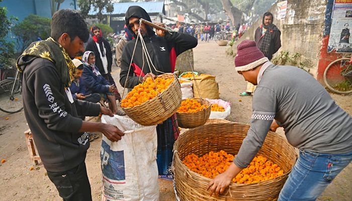 ভালোবাসা দিবস ঘিরে জমজমাট গদখালী ফুলবাজার