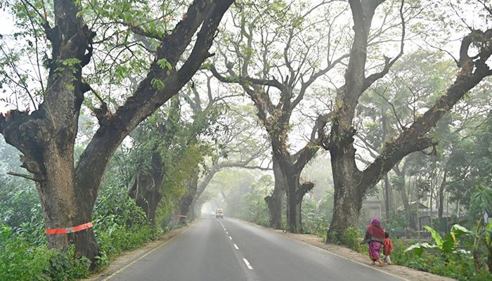 স্মৃতিবিজড়িত যশোর রোড