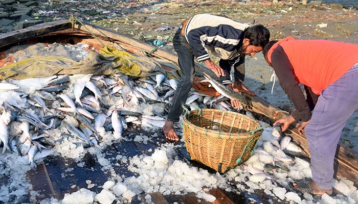 মৎস্য অবতরণ কেন্দ্র কক্সবাজার ফিশারি ঘাট
