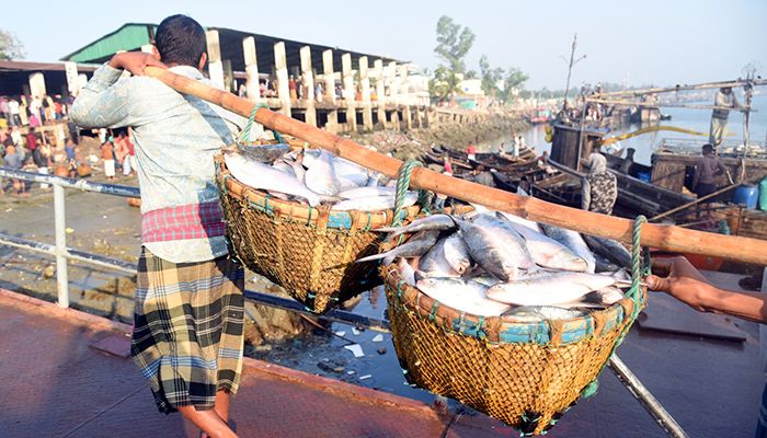 মৎস্য অবতরণ কেন্দ্র কক্সবাজার ফিশারি ঘাট