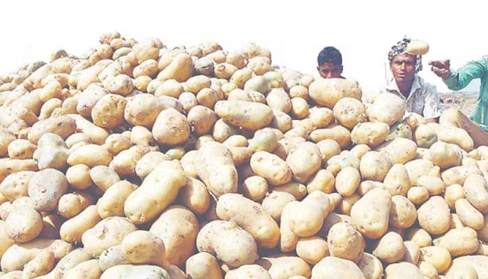 আমদানির সুফল আলুর দাম আরও কমেছে 