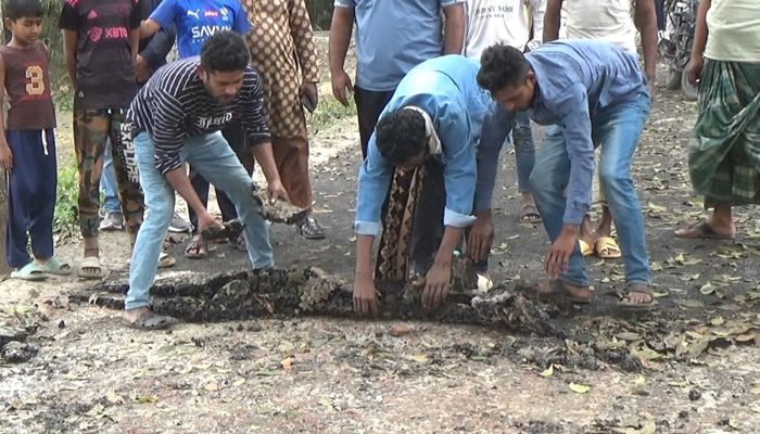 কাজ শেষ না হতেই উঠে যাচ্ছে পিচ, নিম্নমানের কাজের অভিযোগ