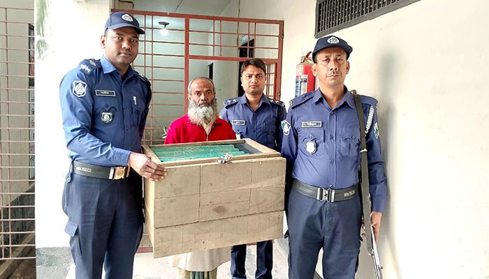 বগুড়ায় তক্ষকসহ আটক পাচারকারী