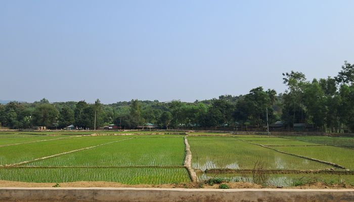সীমান্তবর্তী ঘুমধুমবাসীর নির্ঘুম রাত