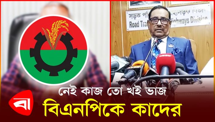 নেই কাজ তো খই ভাজ, বিএনপিকে কাদের