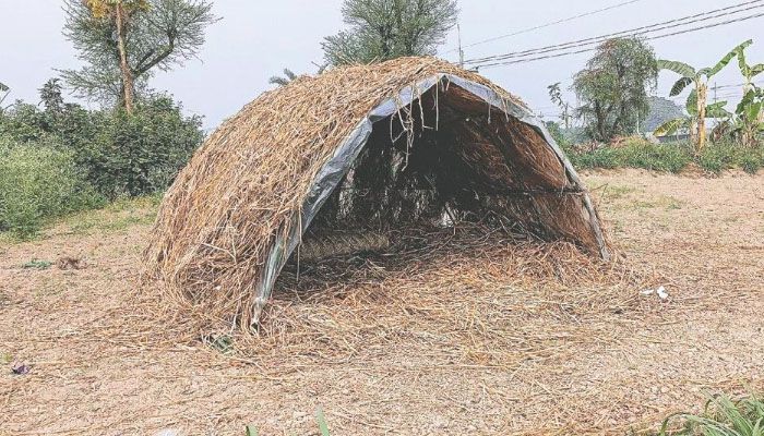 পেঁয়াজ চুরি ঠেকাতে রাত জেগে পাহারা