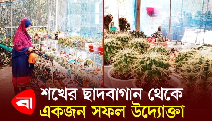 শখের ছাদবাগান থেকে একজন সফল উদ্যোক্তা জুথি