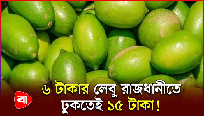 সাধারণ মানুষের পকেট কাটছে মধ্যস্বত্বভোগীরা
