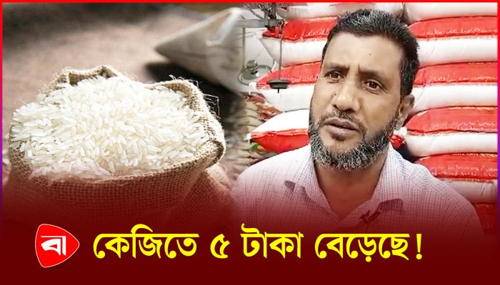মিল মালিক-কোম্পানির কারণে দাম বেড়েছে
