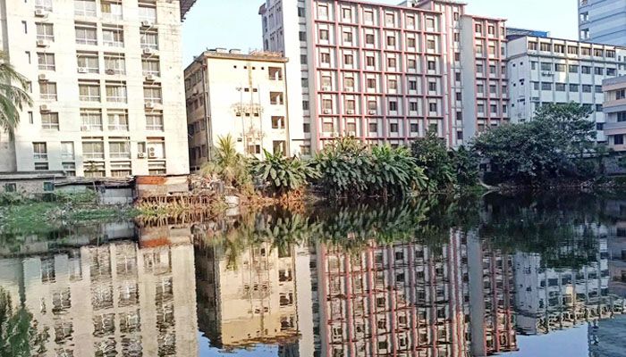 ‘পুকুরটাই অনেক মানুষের প্রাণ বাঁচিয়েছে’