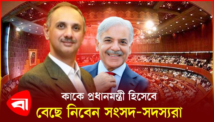 কে হচ্ছেন প্রধানমন্ত্রী ওমর আয়ুব না শাহবাজ শরিফ ?