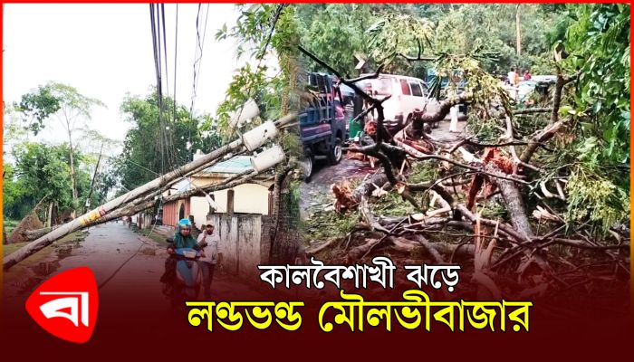 ছয় মিনিটের কালবৈশাখী ঝড়ে লণ্ডভণ্ড মৌলভীবাজার