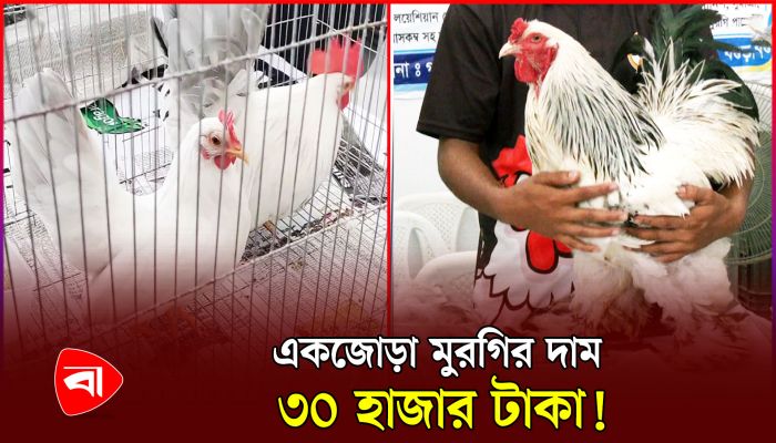 ২ হাজার টাকার পুঁজিতে ব্যবসা, মূলধন এখন ১০ লাখ টাকা!