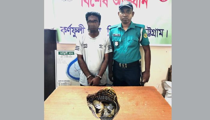 চশমা পরা হনুমানের শাবক পাচারকালে বাসের সুপারভাইজার আটক