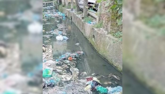 ময়লার ফেলার সহজ ‘ডাস্টবিন’ ছড়াখাল
