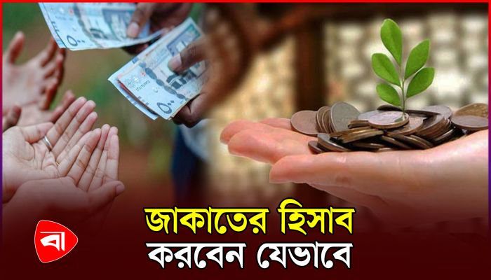 জাকাত যেভাবে হিসাব করতে হয়