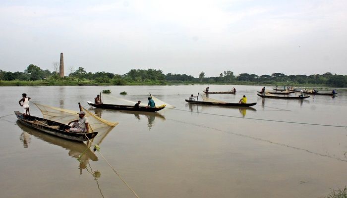 হালদায় ডিম ছেড়েছে মা মাছ
