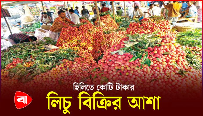 হিলিতে জমে উঠেছে লিচুর বাজার