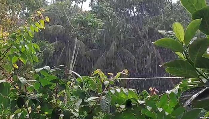 দেশের বিভিন্ন জেলায় স্বস্তির বৃষ্টি