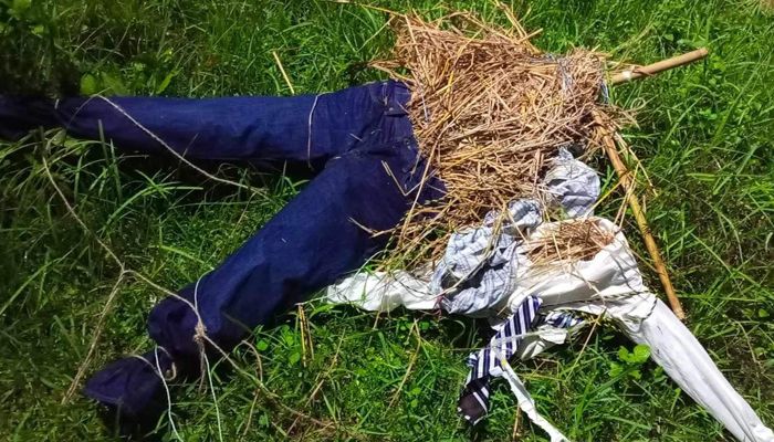 কুবি শিক্ষক সমিতির ঝুলানো উপাচার্যের কুশপুত্তলিকা ছিঁড়ে ফেলল শিক্ষার্থীরা