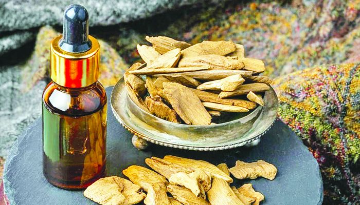 আগরে মিলবে অর্থের সৌরভ...