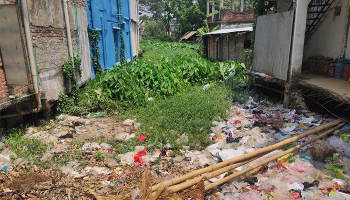 মৃতপ্রায় কালন্দিতে প্রাণ ফিরবে আবার