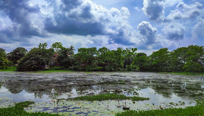 জাহাঙ্গীরনগরে পরিযায়ী পাখির আবাসস্থলে হচ্ছে নতুন ভবন
