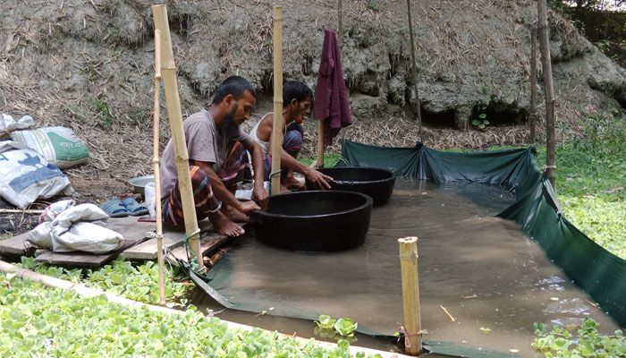 মানিকগঞ্জের সিঙ্গাইর উপজেলার চারিগ্রাম ইউনিয়নে ছাই থেকে সোনা উৎপাদনে কাজ করছেন দুই ব্যক্তি। সম্প্রতি তোলা। প্রবা ফটো