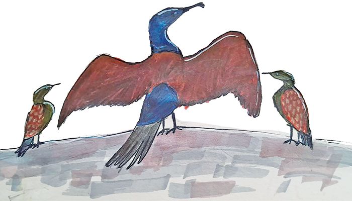 মা পানকৌড়ির যুদ্ধজয়  