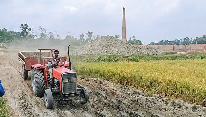 প্রভাবশালীদের ইটভাটায় ফসলি জমির ক্ষতি