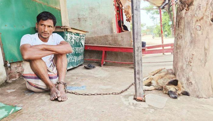 ৮০০ টাকার জন্য রিকশাচালককে কুকুরের সঙ্গে শিকলে বেঁধে নির্যাতন